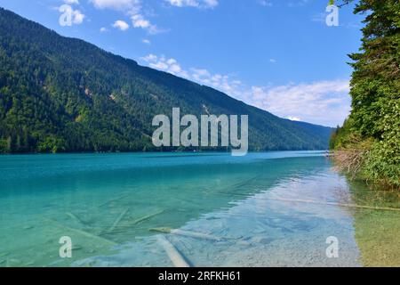 View of Weissensee lake in Carinthia or Kärnten in Austria with forest covered mountains above Stock Photo