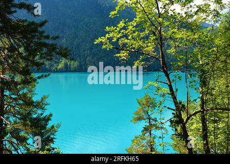 Turquoise colored surface of Weissensee lake in Carinthia, Austria with trees in front Stock Photo