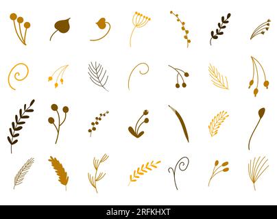 Vector set of hand drawn botanical fall elements of twigs, berries, flowers, pine branches Stock Vector