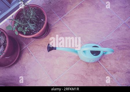 Watering can and herbs in pot growing on the balcony. High quality photo Stock Photo