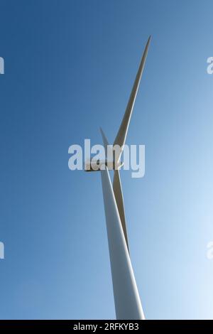 Den Brook Windfarm, Devon, UK Stock Photo