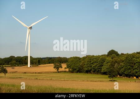 Den Brook Windfarm, Devon, UK Stock Photo