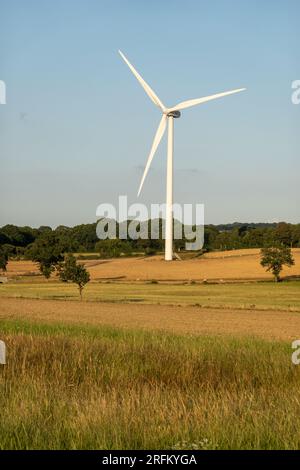 Den Brook Windfarm, Devon, UK Stock Photo