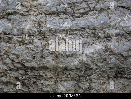 Seamless rock texture background closeup Stock Photo