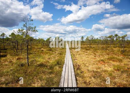 Beautiful Hüpassaare hiking trail to the Kuresoo bog on a sunny summer day in Soomaa National Park Estonia Stock Photo