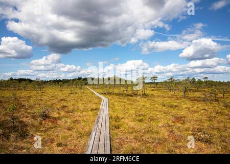 Spectacular Hüpassaare hiking trail to the Kuresoo bog on a beautiful summer day in Soomaa National Park Estonia Stock Photo