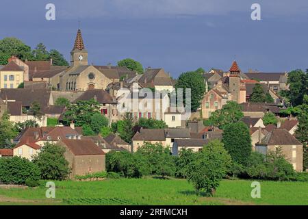 France, Côte-d'Or,  Monthélie, the village as seen from the famous vineyards Stock Photo