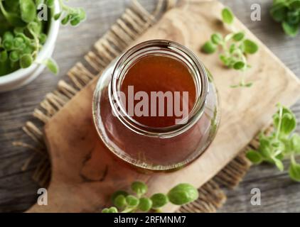 A jar of homemade Plectranthus amboinicus syrup for common cold Stock Photo