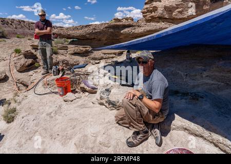 Paleontologists work in the Morrison Formation in the Burpee Dinosaur Quarry in the Caineville Desert near Hanksville, Utah. Stock Photo