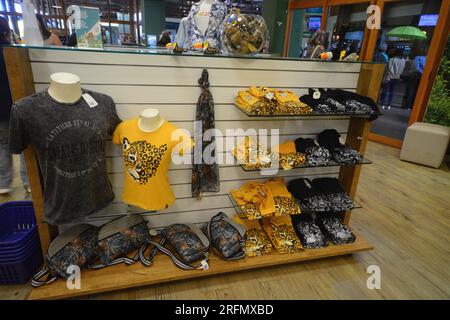 Iguassu Falls, PR, Brazil - July 30, 2023: Trade in handicraft shop at Iguassu Falls. Shops selling handicrafts at the exit of the falls tour Stock Photo