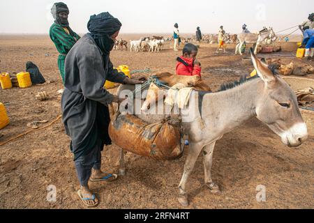 Man fetching water from a well in the sahara desert near Timbuktu in Mali, West Africa. Stock Photo