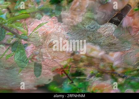 With their brush, an artist finishes painting and abstract photo of some peach quince blooms. They are in the Rosaceae family. Stock Photo