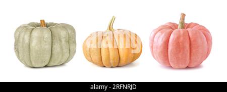 Fall pumpkins isolated on a white background. Assortment of green, orange and pink heirloom pumpkins. Blue doll, autumn frost and porcelain doll varie Stock Photo