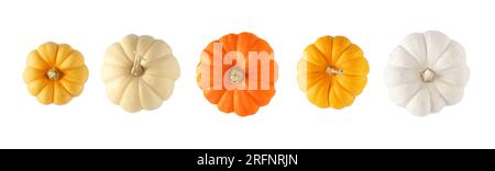 Variety of autumn pumpkins, top view isolated on a white background. Assorted shades of orange and white. Stock Photo