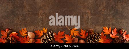 Colorful fall leaves, nuts and pine cones. Bottom border over a rustic dark banner background. Top view with copy space. Stock Photo