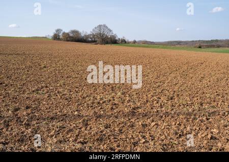 Plowed farmland with brown soil on a sunny day in spring Stock Photo