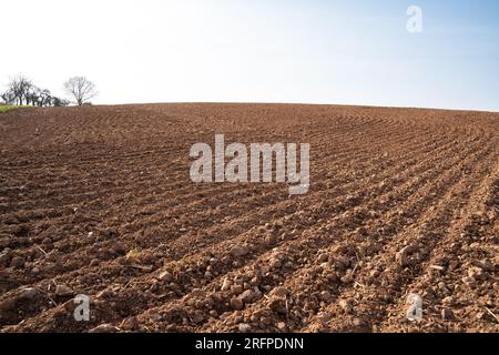 Plowed farmland with brown soil and a bright blue sky in spring Stock Photo