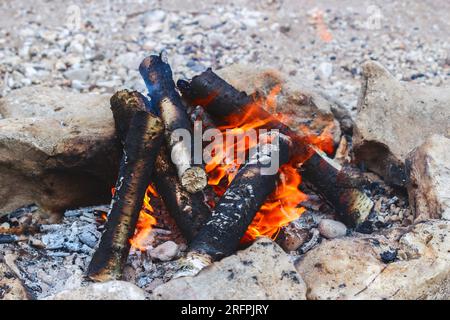 Birch logs burning in a fire Stock Photo