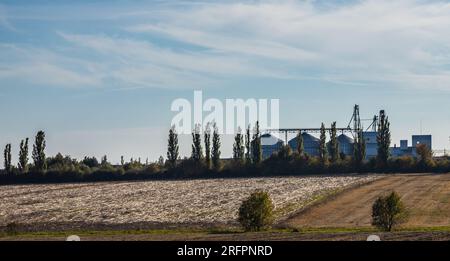 Grain storage silos system behind a brown soybean field and under a dark cloudy sky in an autumn day.. Stock Photo