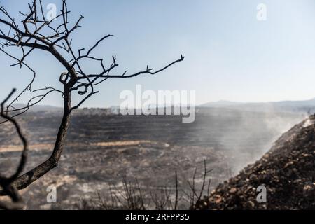 Alassa, Cyprus. 05th Aug, 2023. Smoke is coming out of the burnt areas, Alassa, Cyprus, on Aug. 5, 2023. Fire Department and Forest Department units, patrol the area around Alassa to prevent any resurgences, where a fire broke out yesterday and burnt around 3 square kilometers of low vegetation. The weather forecast says about heavy winds, so the danger of resurgence is high. (Photo by Kostas Pikoulas/Sipa USA). Credit: Sipa USA/Alamy Live News Stock Photo