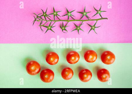Disassembled branch of cherry tomatoes over color divided background. Stock Photo