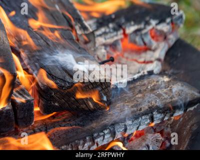 Firewood blazing on a fire, orange flames, smoke, hot embers Stock Photo