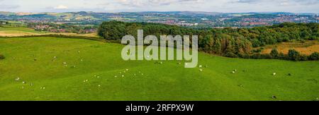 Aerial photo of Tandle Hill country park in Royton, Oldham. Manchester England. Stock Photo