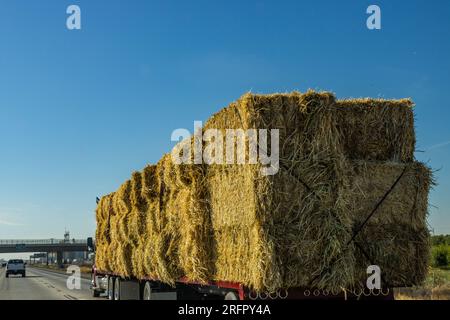 A truckload of hay travels southbound on California Highway 99 in the Central Valley USA Stock Photo