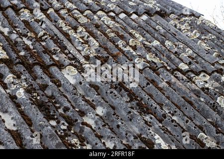 The old slate roof is covered with green moss and dry foliage. The concept of replacing the roof. Roof repair. Stock Photo