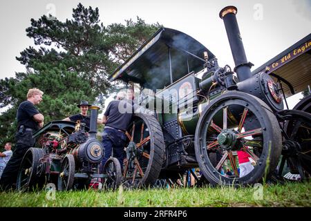 Alt Schwerin, Germany. 05th Aug, 2023. A historic steam tractor of the brand 'Wallis & Steevens' from England stands in the original and as a model at this year's steam meeting in the Agricultural History Museum Agroneum. Especially technology fans from the Netherlands, who could not travel to the last meeting two years ago because of Corona, have again traveled to the Mecklenburg Lake District. In total, more than 50 steam-powered tractors and machines can be seen in action, including about 13 large machines. Credit: Jens Büttner/dpa/Alamy Live News Stock Photo