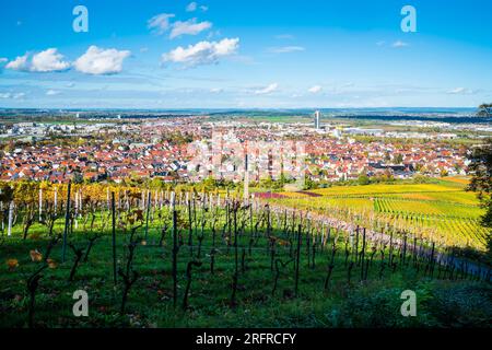 Germany, Fellbach urban city skyline vineyard panorama landscape nature view, autumn above roofs houses tower skyline,  sunset colors Stock Photo