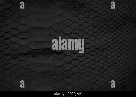 Black leather texture with empty space. snakeskin background Stock Photo