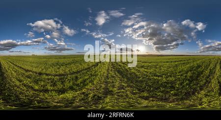 360 degree panoramic view of spherical 360 hdri panorama among green grass farming field with clouds on blue evening sun in equirectangular seamless projection, use as sky dome re