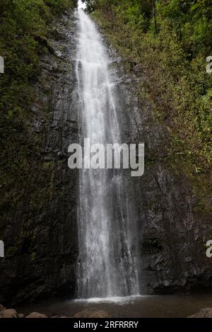 Manoa falls in Honolulu forest reserve Stock Photo