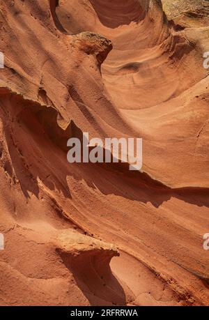 Wind- and rain-eroded patterns in a red sandstone cliff, on the coast of south Devon; Dawlish,  Devon, Great Britain Stock Photo