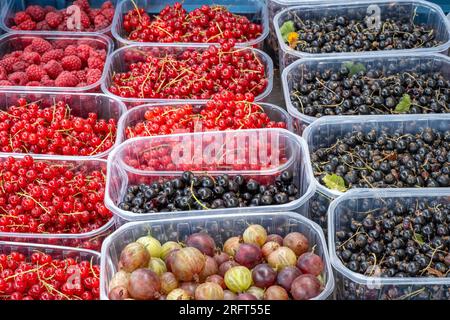 Different kinds of red and blue berries for sale at a market Stock Photo