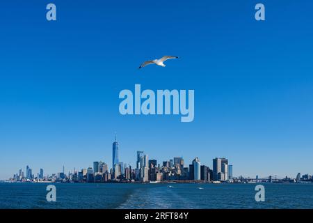 Seagull soars from Manhattan's embrace, seeking solace in open skies. Urban escape and newfound freedom Stock Photo