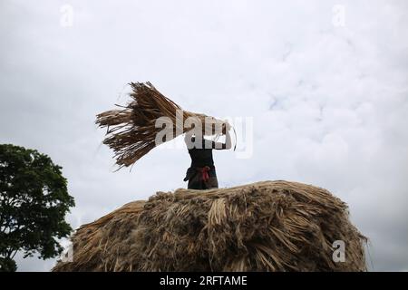 The jute industry  Historically and culturally important industry in Bangladesh. Jute one of the country's biggest industries and major export item. Stock Photo