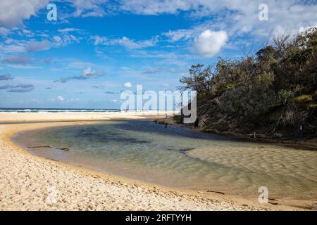 Eli Creek on Fraser K'gari island, Eli creek is on 75 mile beach on this sand island, Queensland,Australia,2023 Stock Photo