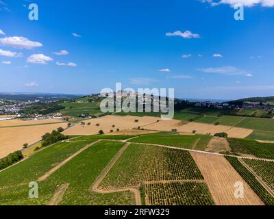 Vineyards of Sancerre appellation, making of dry white wine from sauvignon blanc grape growing on hilly sloped of left bank of Loire river on differen Stock Photo