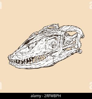 water monitor skull head vector illustration Stock Vector Image & Art ...