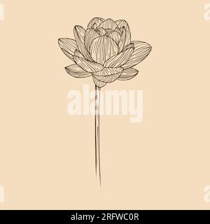 Lotus flower vector illustration with line art Stock Vector