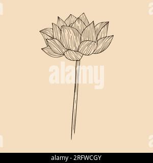 Lotus flower vector illustration with line art Stock Vector