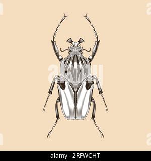 Goliathus male illustration vector flat design Stock Vector