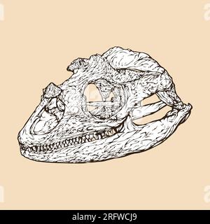 rhino iguana skull head vector illustration Stock Vector