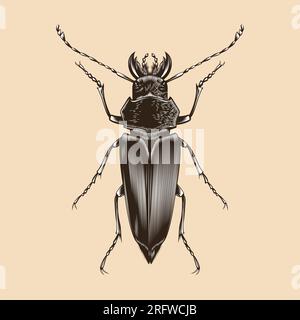 Callipogon illustration vector flat design Stock Vector