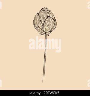 Lotus flower vector illustration with line art Stock Vector
