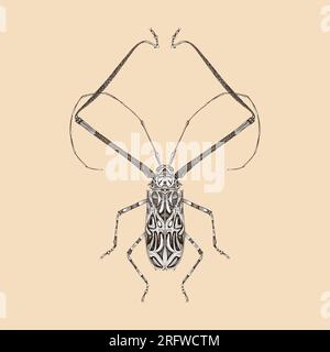 Acrocinus Longimanus illustration vector flat design Stock Vector