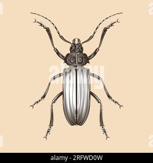 Mecosarthron Buphagus illustration vector flat design Stock Vector