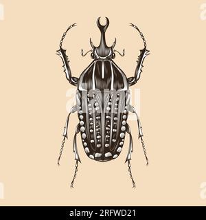 Mecynorhina Polyphemus illustration vector flat design Stock Vector